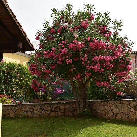 Splendida Villetta Tavolara 1 Vaccileddi Eksteriør bilde